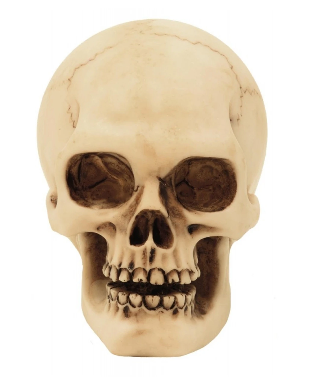 2er Set Graveyard Totenschädel Medium – Bild 2