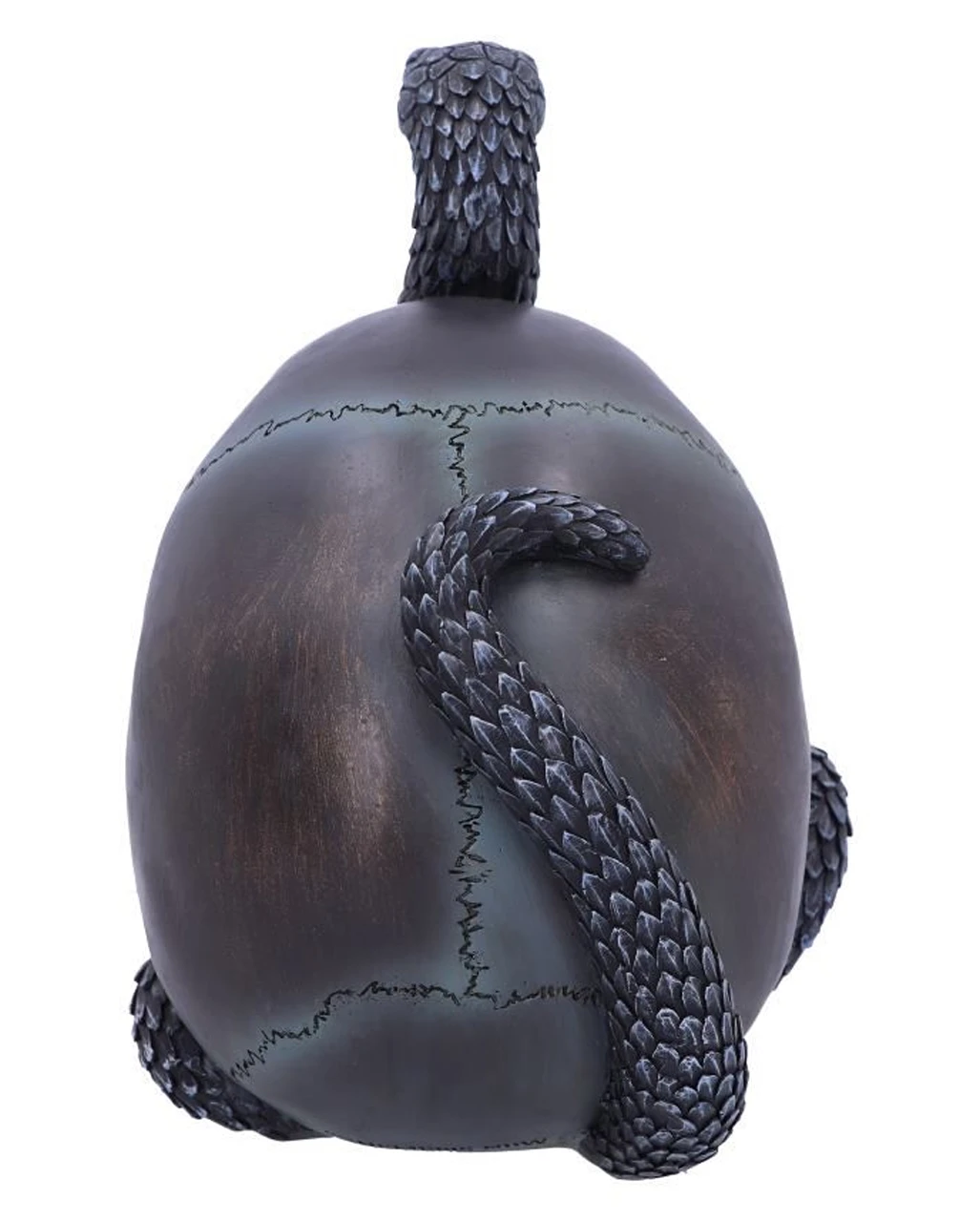 Schuppige Schlange In Totenkopf 19cm – Bild 3
