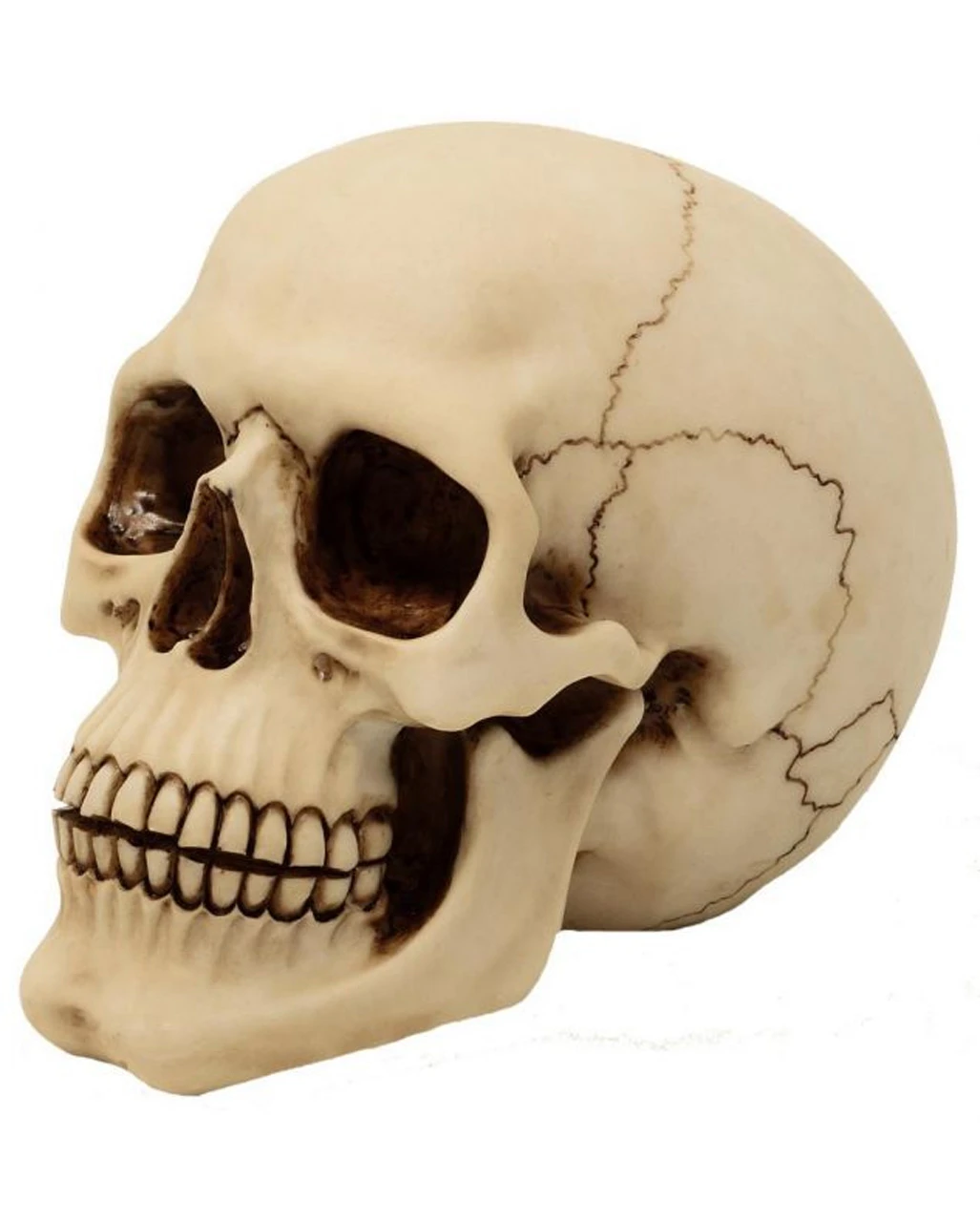 Graveyard Totenschädel Large