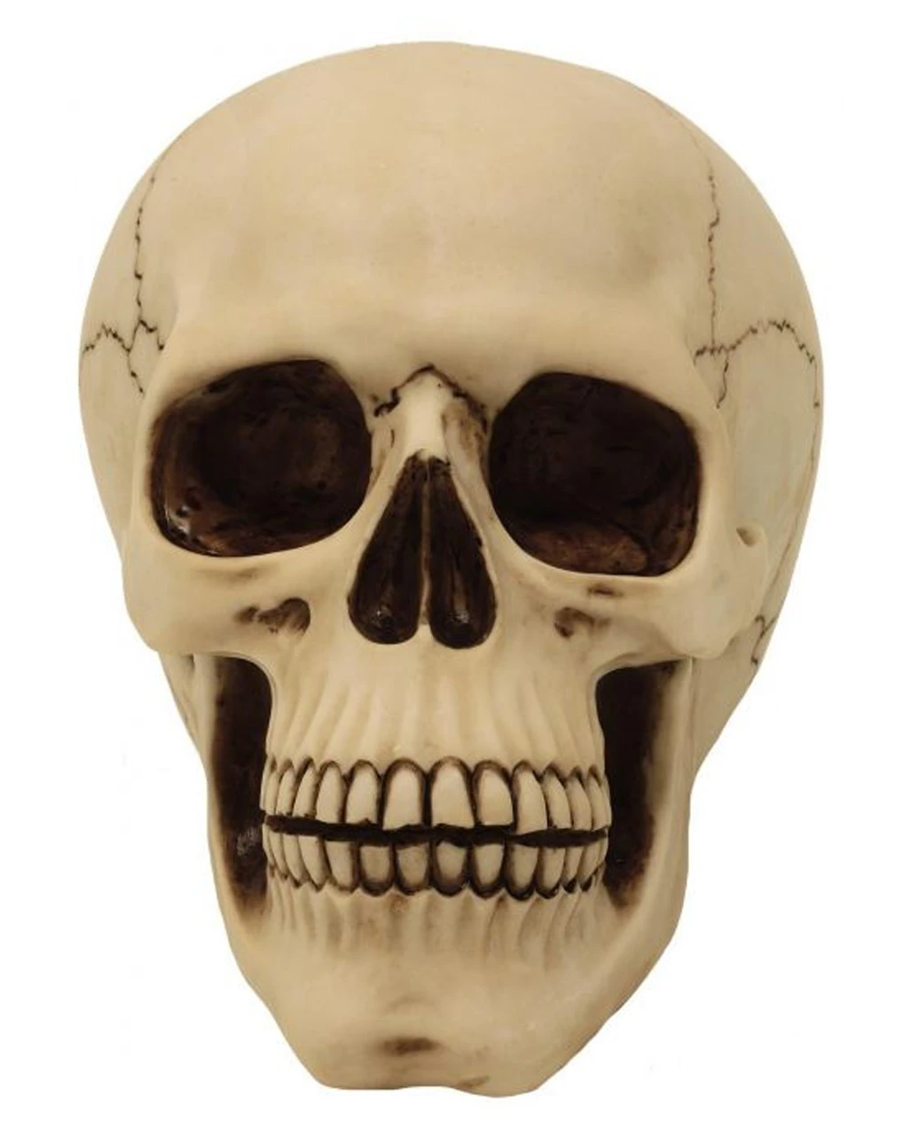 Graveyard Totenschädel Large – Bild 3