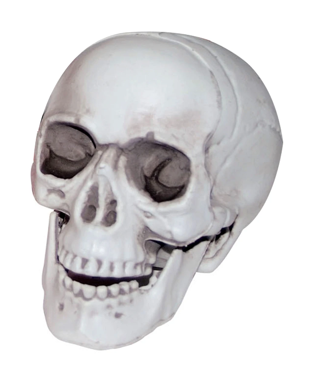 Mini Totenkopf Mit Beweglichem Kiefer