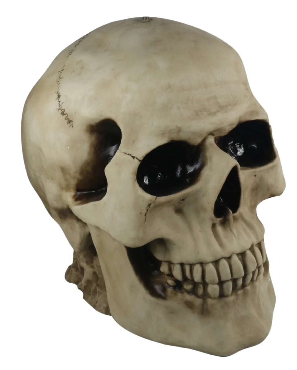 Totenschädel Tisch Mit Glasplatte 56,5cm – Bild 2