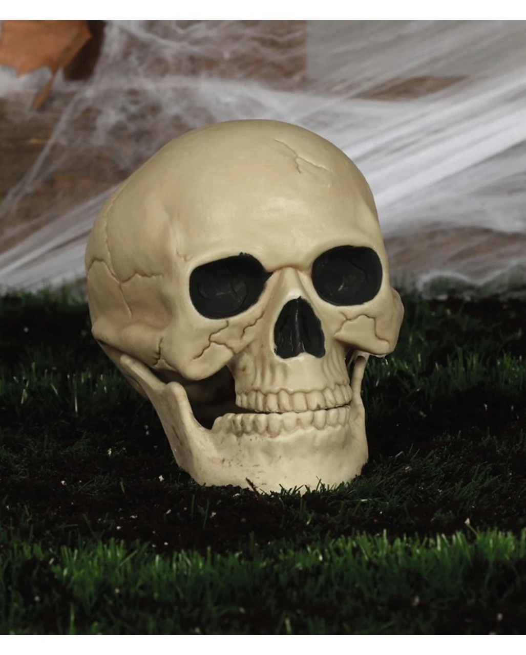 Wetterfester Totenschädel Mit Beweglichem Kiefer 20cm – Bild 3